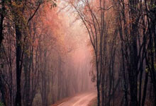 九游会·J9：德甲-拜尔传射吉拉西建功 多特蒙德2-1逆转莱比锡.