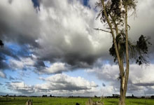 九游会·J9：英超-B费进球阿玛德破门 曼联客场逆转击败曼城.