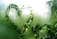 向“饭圈”乱象“亮剑” 构建体育事业健康发展的网络生态屏障2025-04-04.