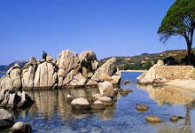 九游会·J9：卡索拉：加盟阿森纳是生涯最佳决定 温格、阿尔特塔助我融入球队.